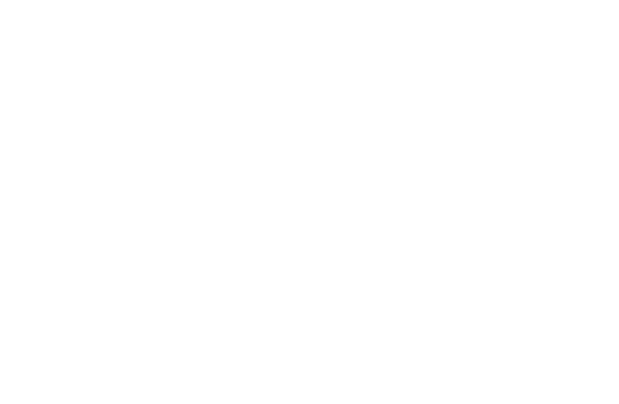 SMART PRO